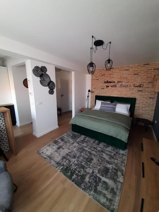 City Center View Studio Apartment 1 تيميشورا المظهر الخارجي الصورة