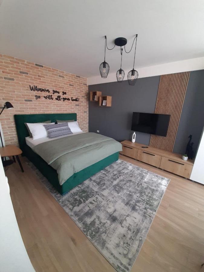 City Center View Studio Apartment 1 تيميشورا المظهر الخارجي الصورة