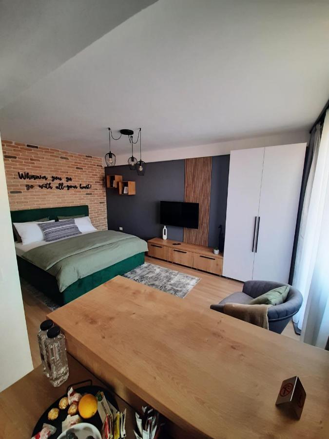City Center View Studio Apartment 1 تيميشورا المظهر الخارجي الصورة