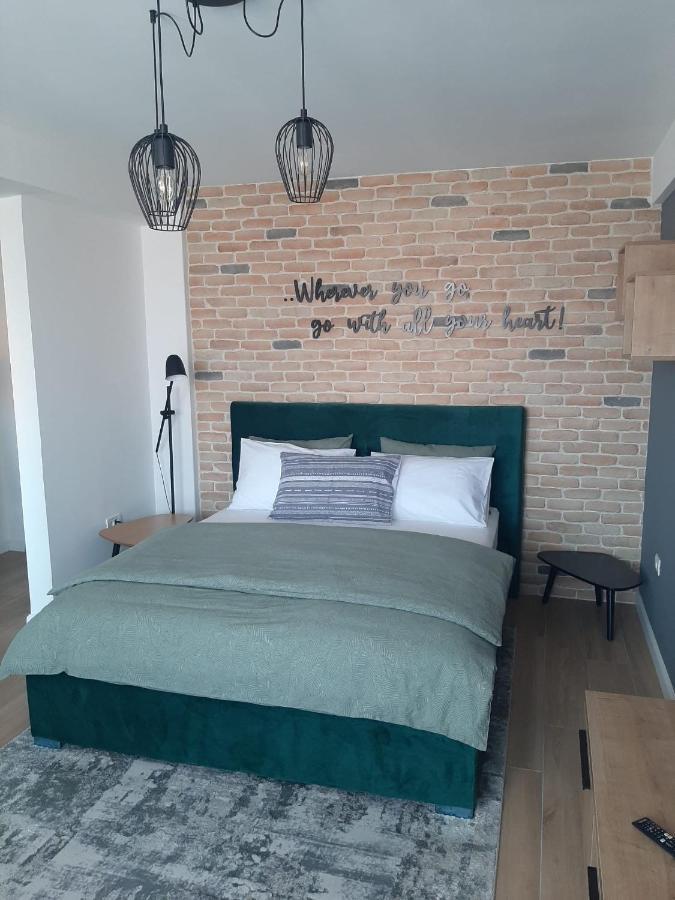 City Center View Studio Apartment 1 تيميشورا المظهر الخارجي الصورة